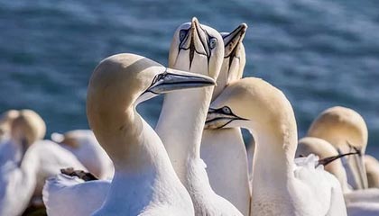 南韩发起体育进击，筑梦冠军之路