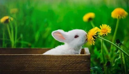 乌克兰奋力拼搏，创造传奇记录