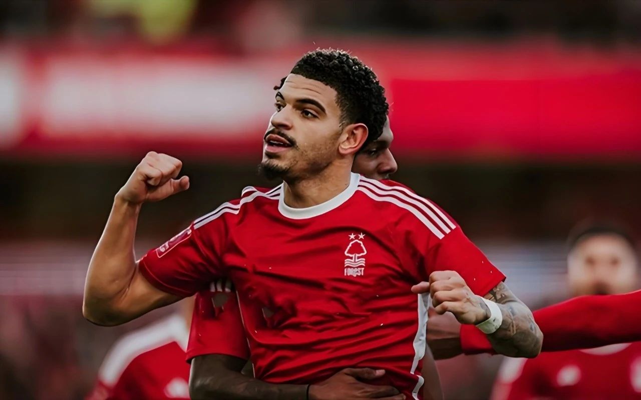 米兰体育培训-南安普顿队员表现出色，球队整体成绩显著提升