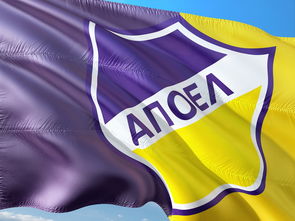 米兰体育官网入口-哈萨克斯坦篮球联盟：阿斯塔纳队夺冠，哈萨克斯坦国家联盟篮球